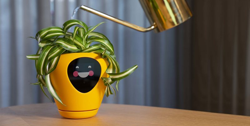 Lua, la maceta inteligente que te permite conocer que necesita tu planta favorita